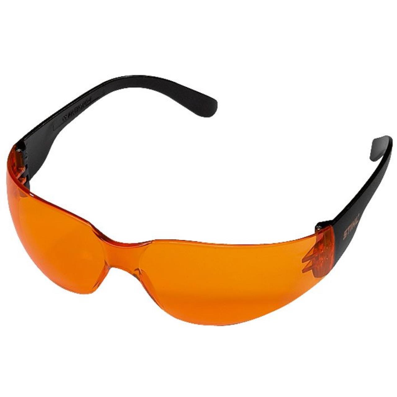 100011384 Schutzbrille FUNCTION Light