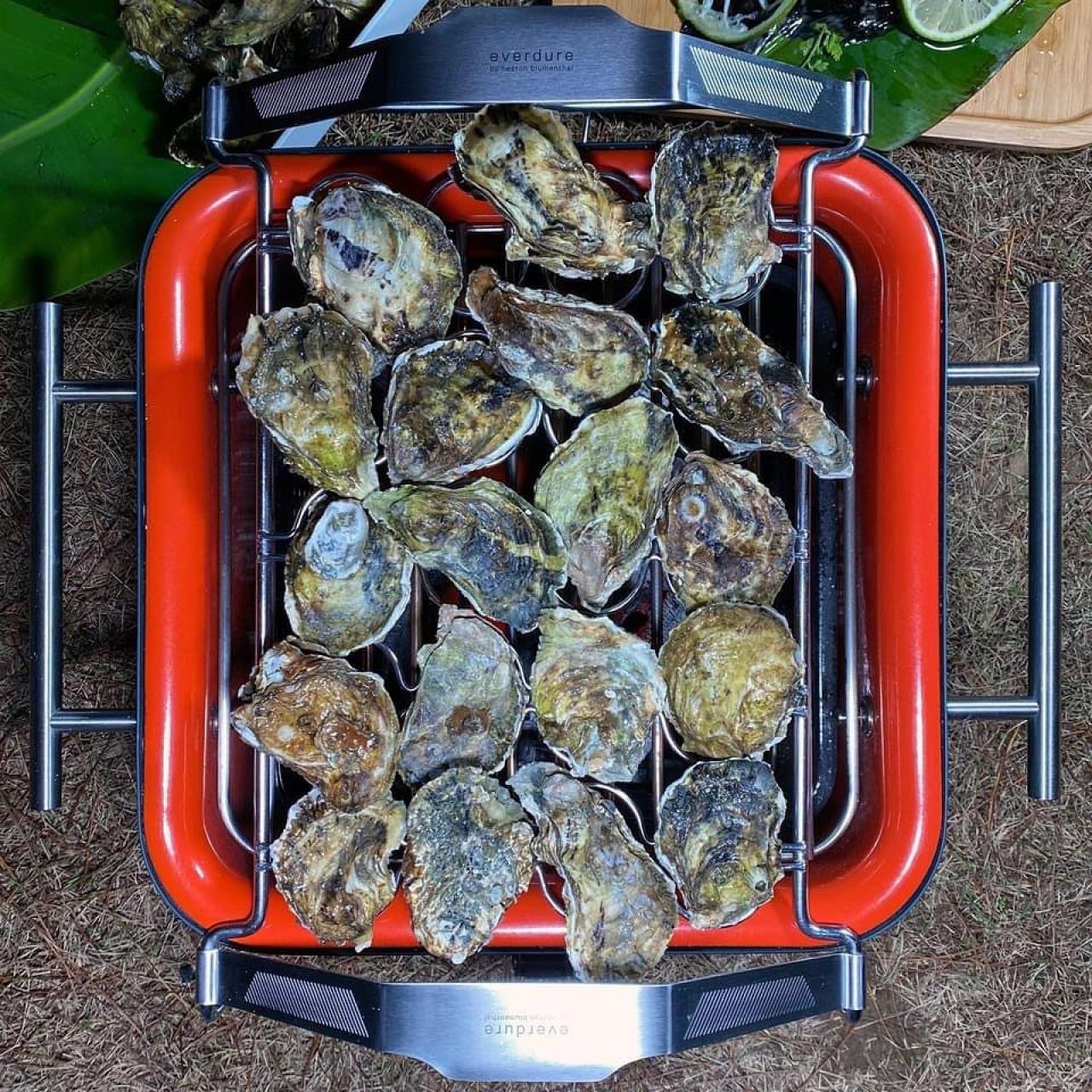 Gourmet Universal-Halterung