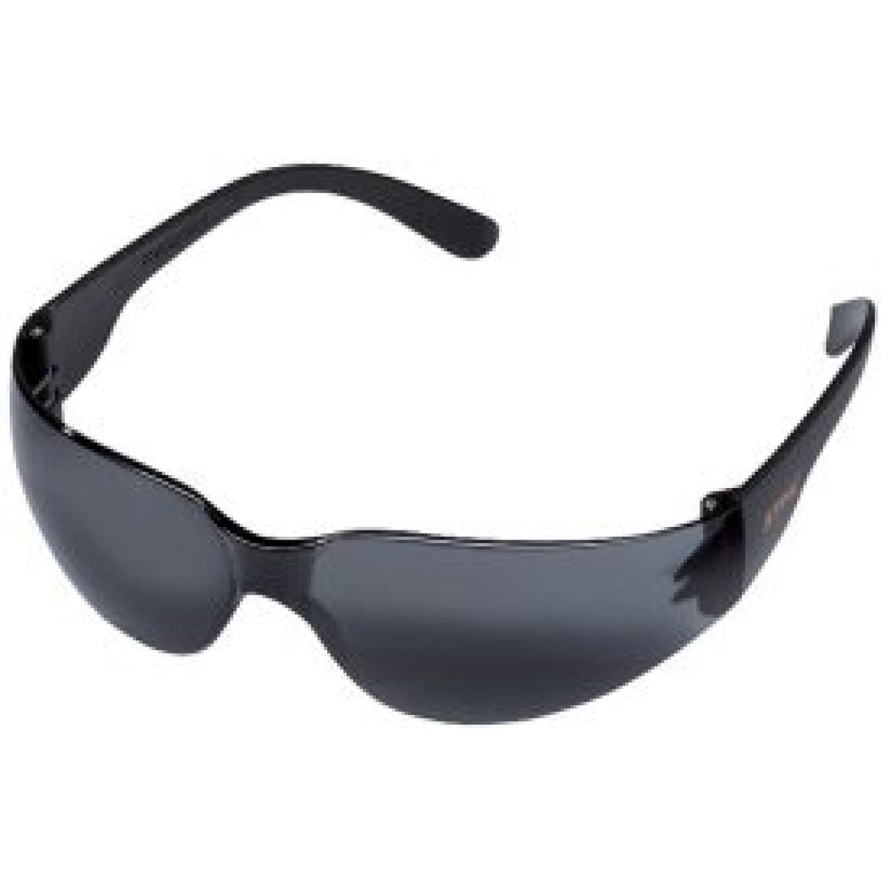 100011386 Schutzbrille FUNCTION Light