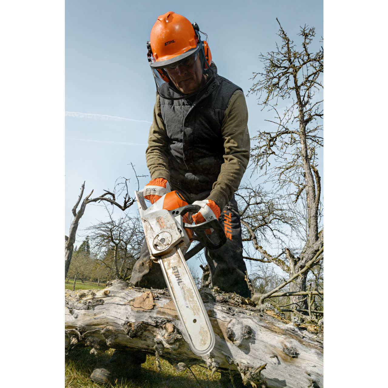 44205-2_Stihl_12512000078 Akku-Motorsäge MSA 220 C-B 40 cm / 16", 63 PS3